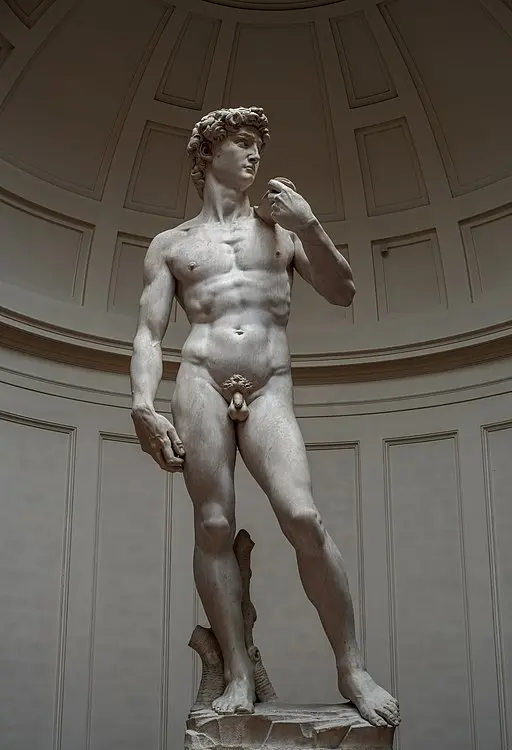 David by Michelangelo – Accademia Gallery, Florence Michelangelo’s David statue in the Galleria dell’Accademia, Florence
